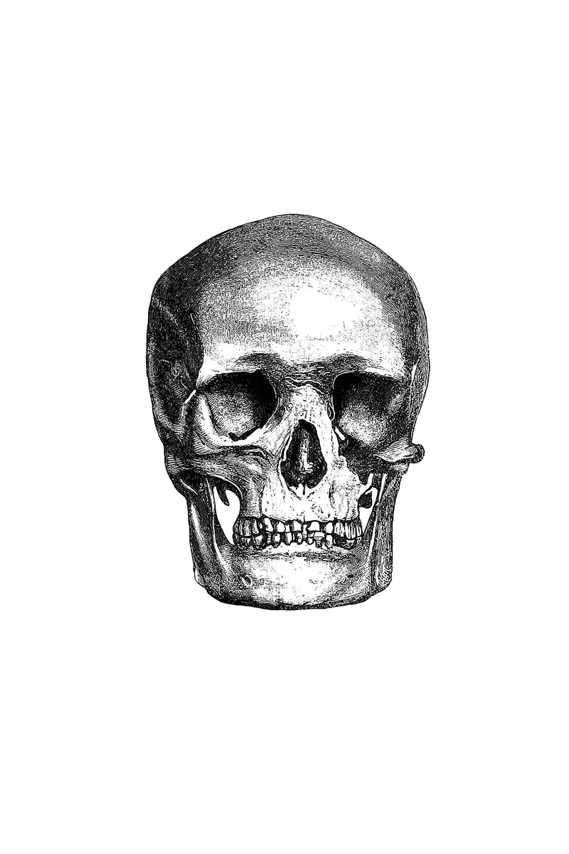 Skeleton Head – BFF PRINT SHOP