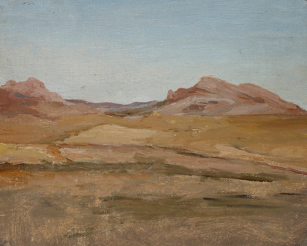 Desert Landscape