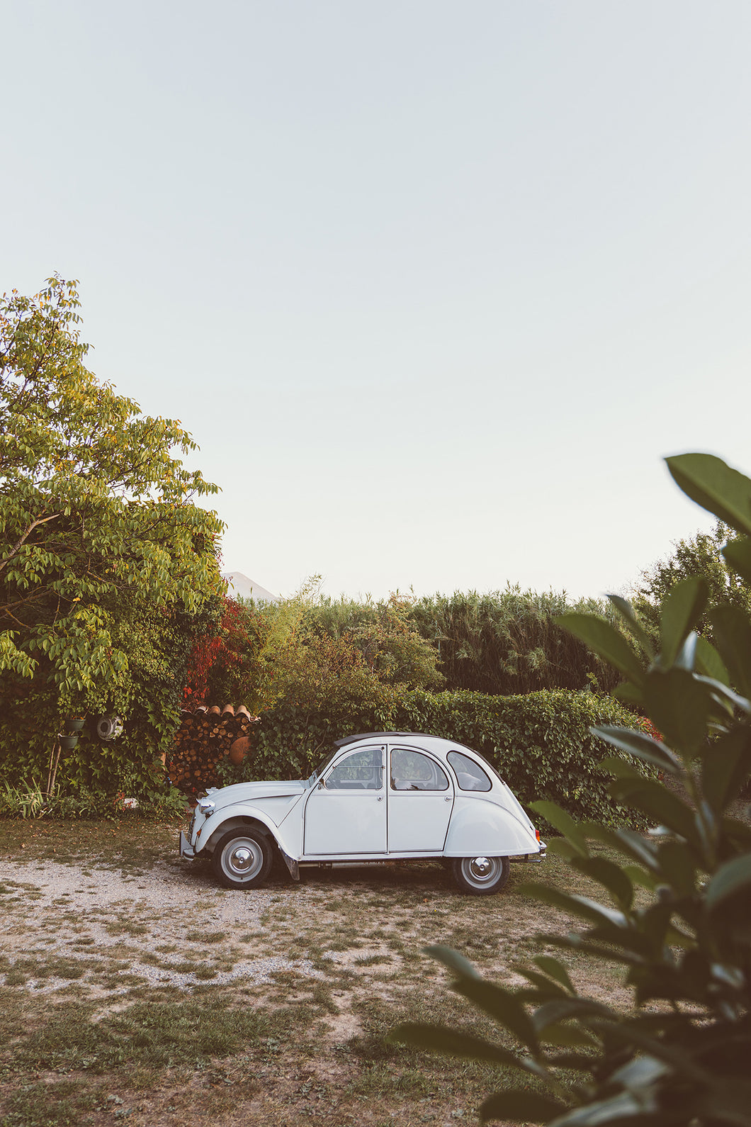 White Citroen