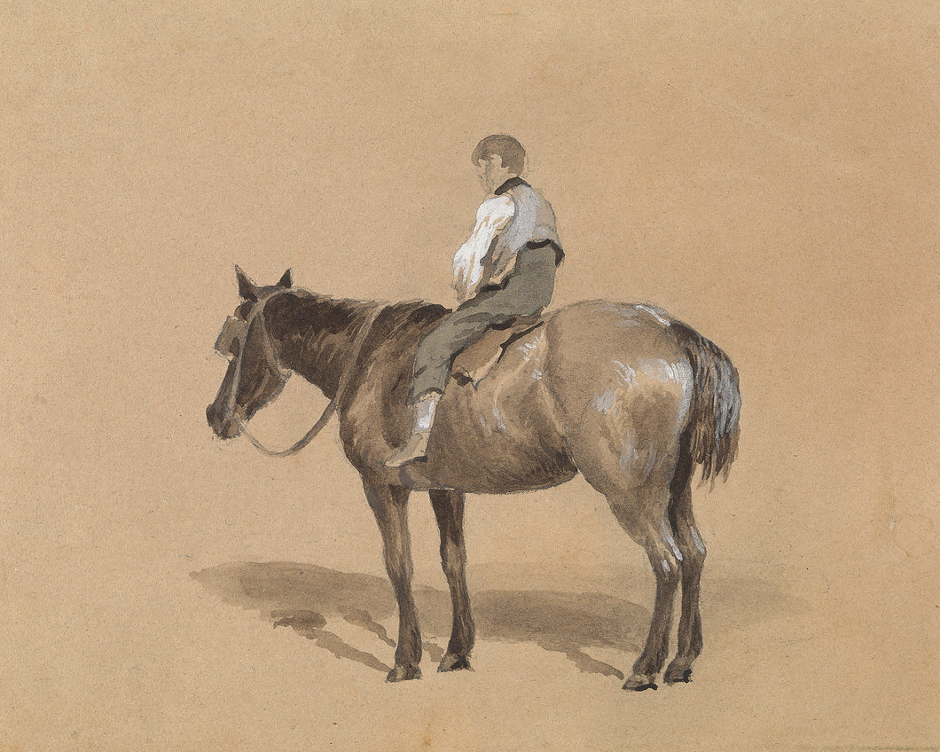 Boy on Horse Study