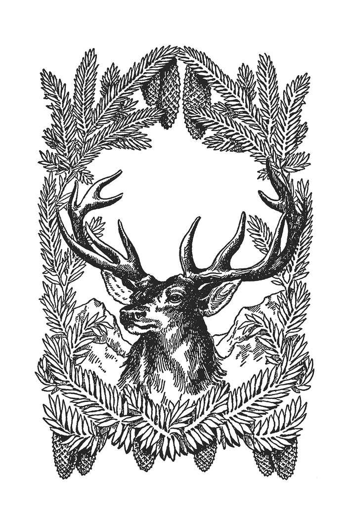 Deer Sketch