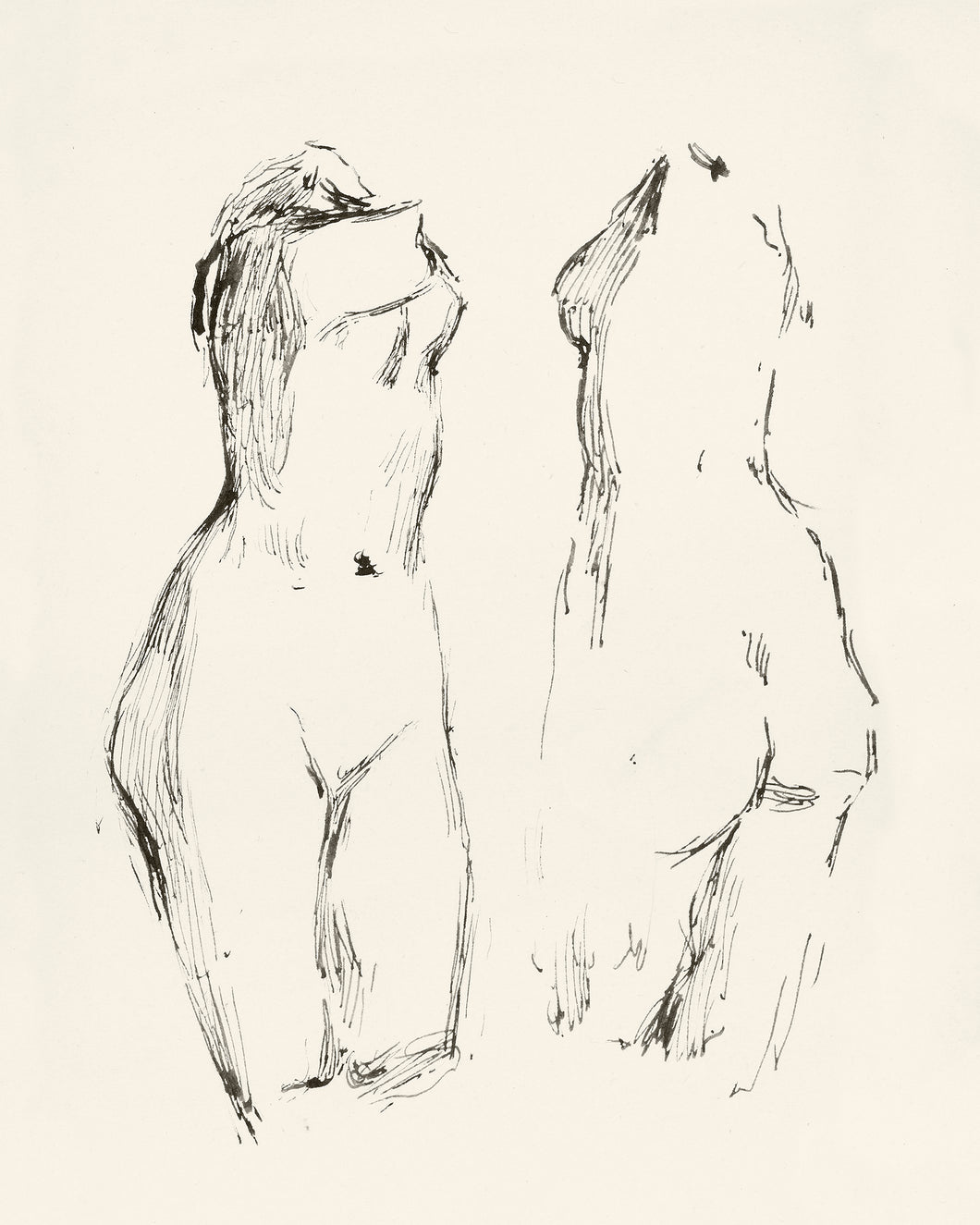 Female Sketch