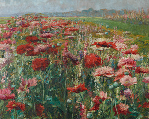 Field of Pink and Red