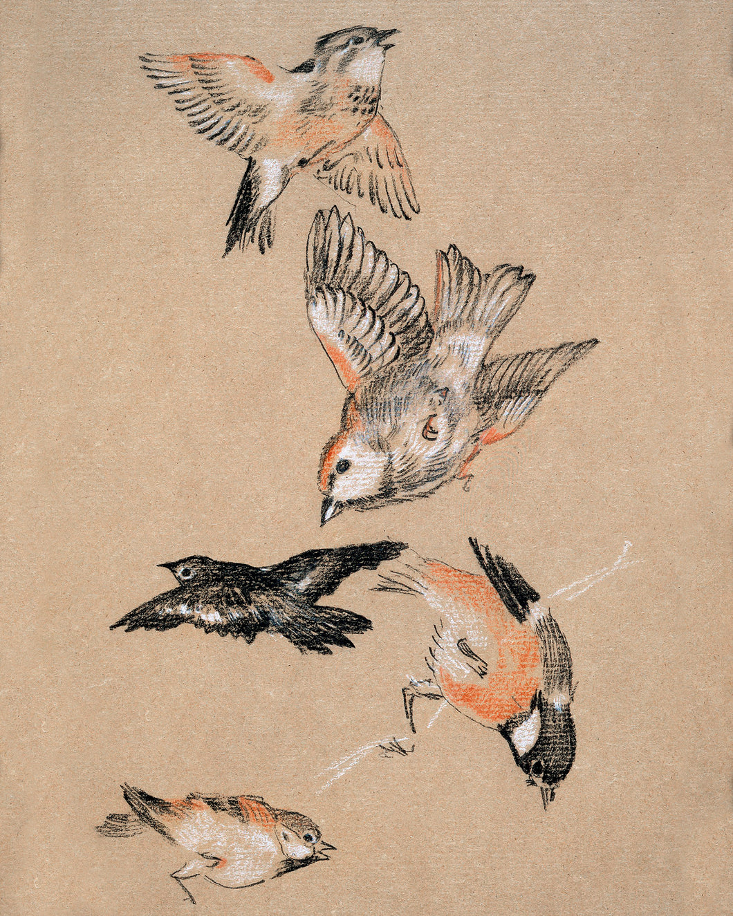 Five Birds