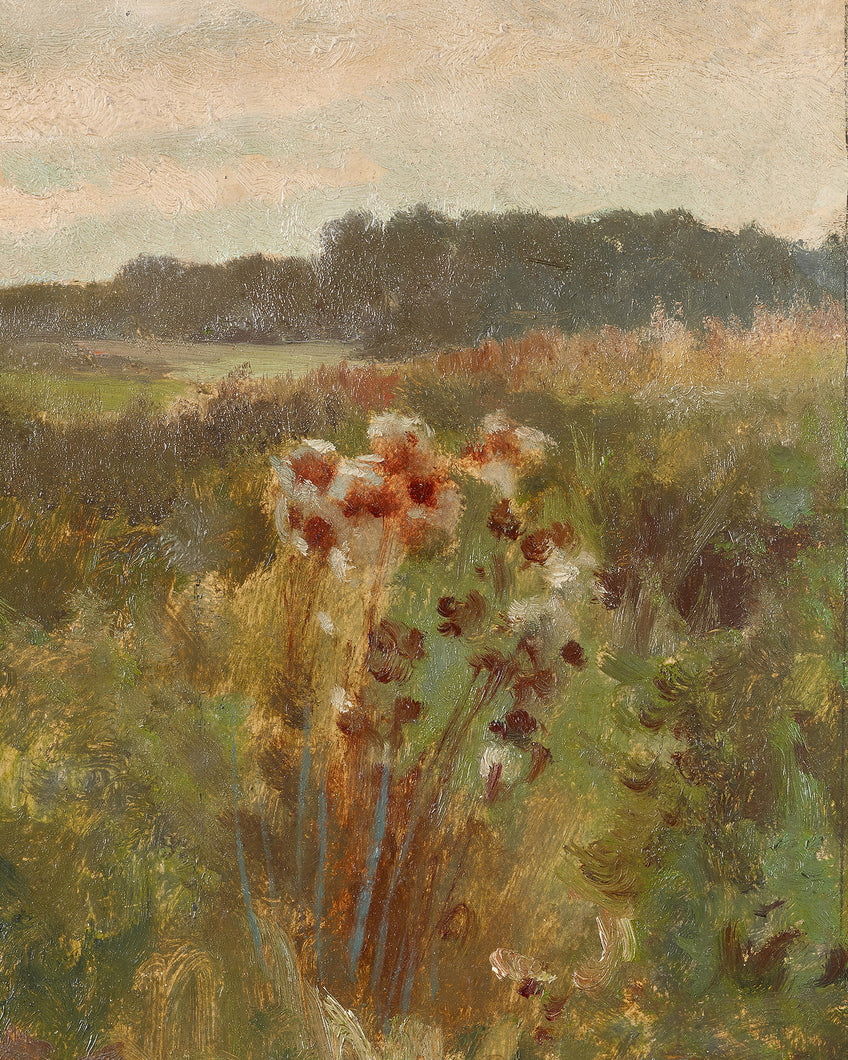 Flowers in a Field