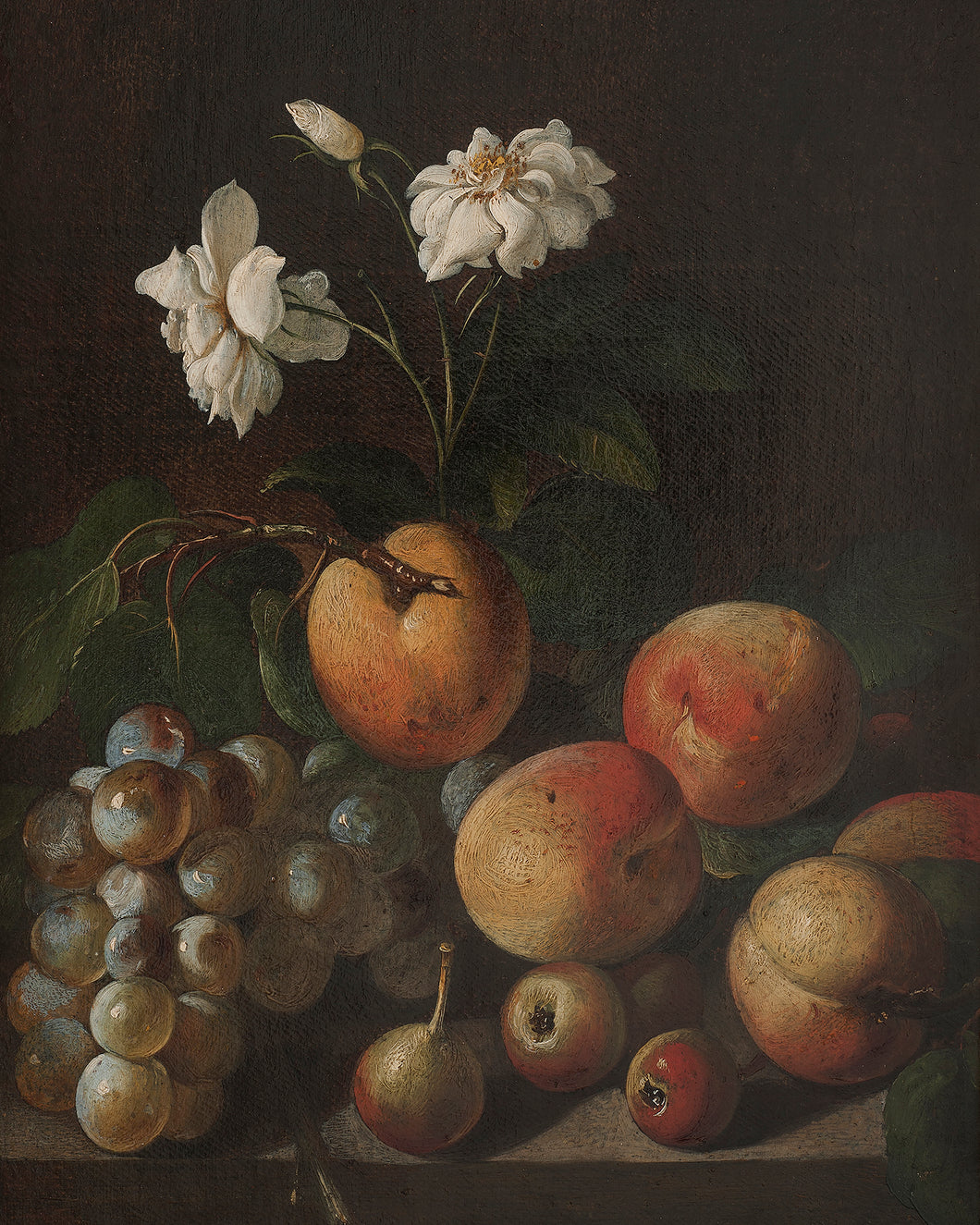 Fruit and Rose Still Life