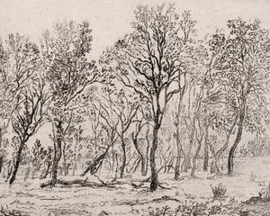 Grove Etching