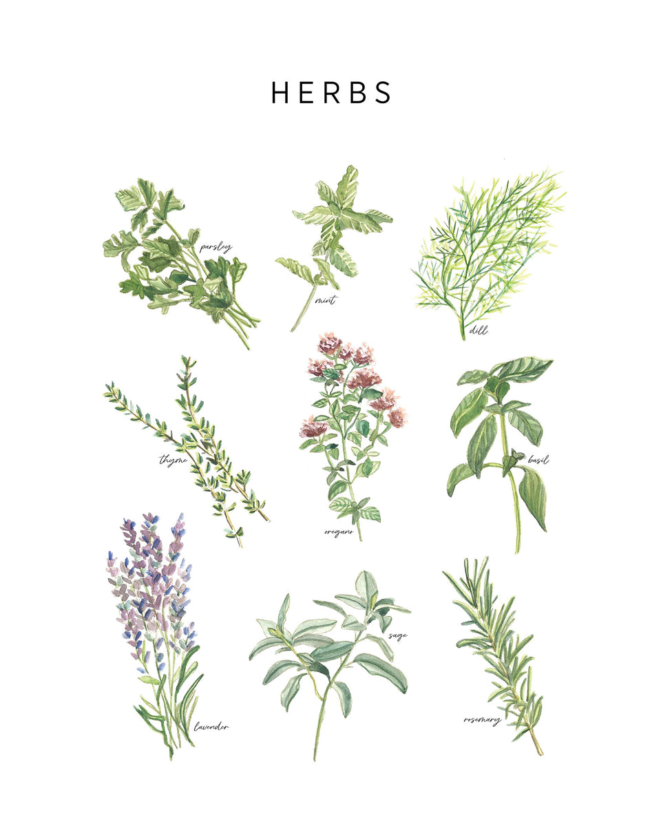 Herbs – BFF PRINT SHOP