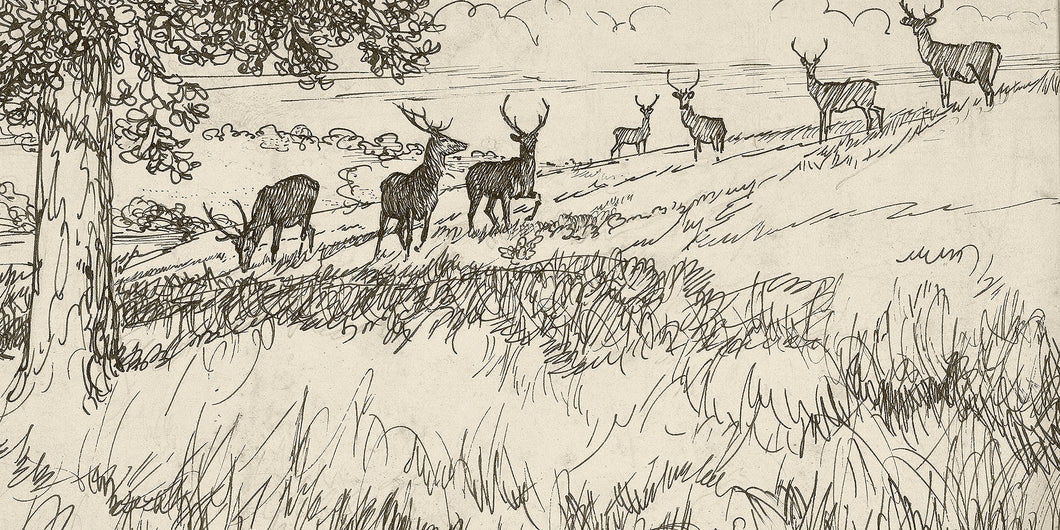 Herd of Deer Sketch