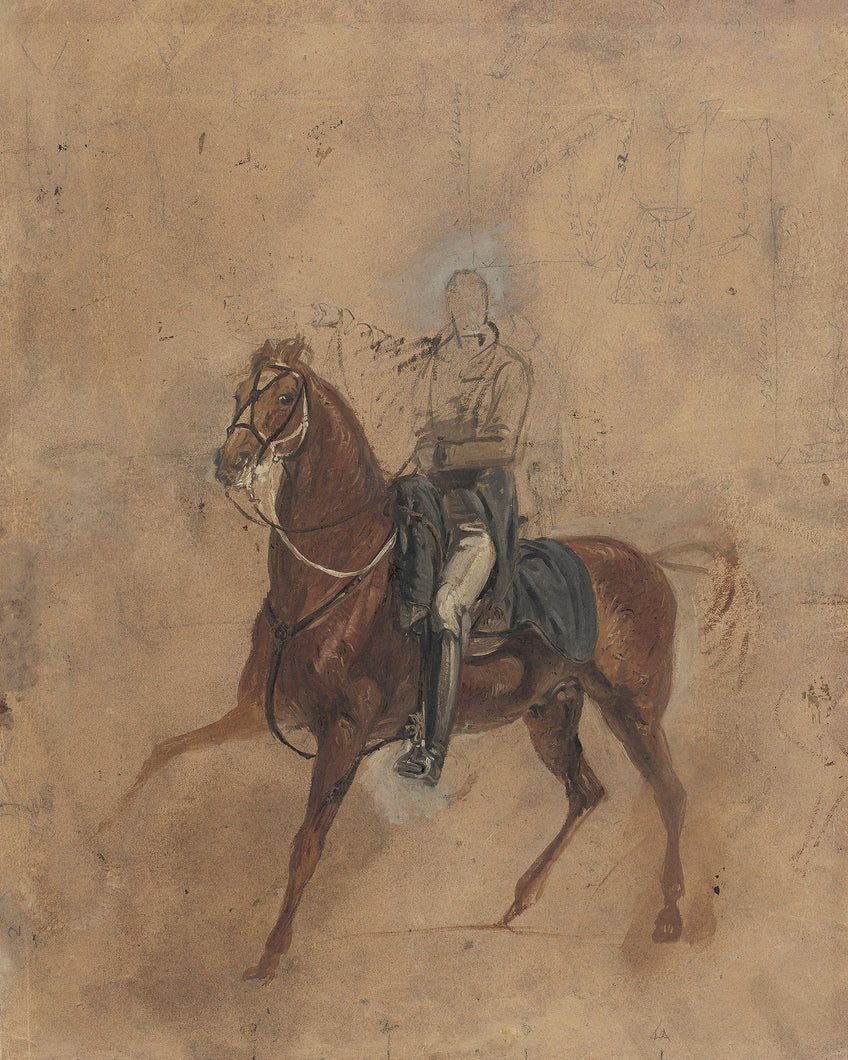 Horse and Rider Study