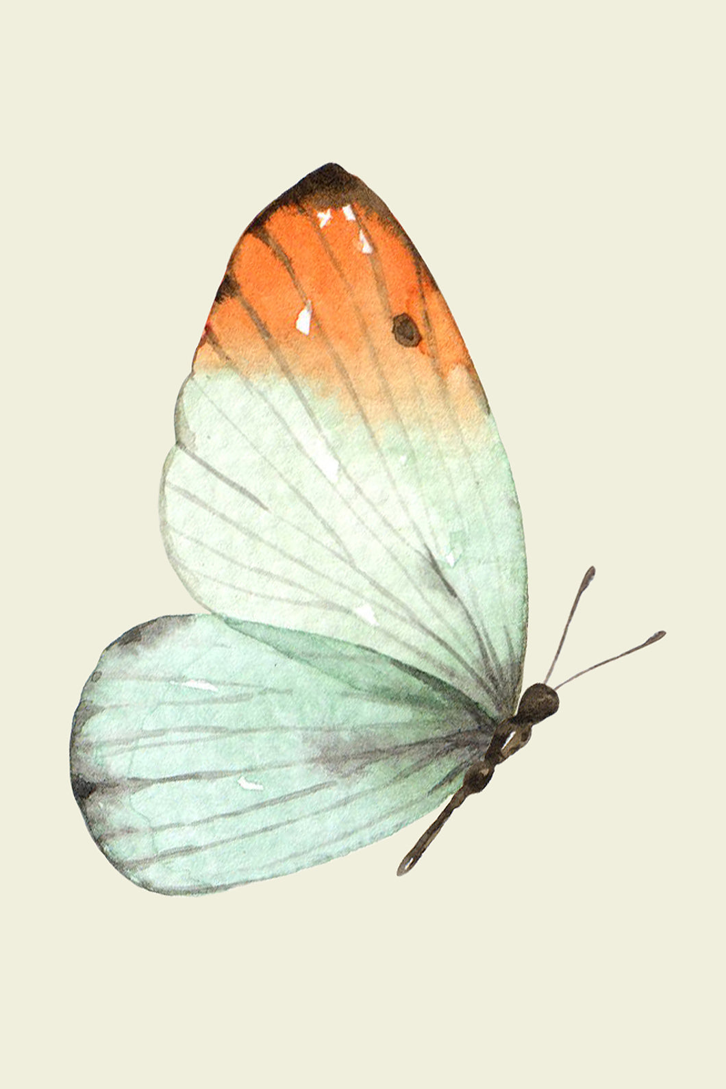 ice-butterfly-bff-print-shop for Free Printable Butterfly Wall Art Ice Butterfly – BFF PRINT SHOP for Free Printable Butterfly Wall Art