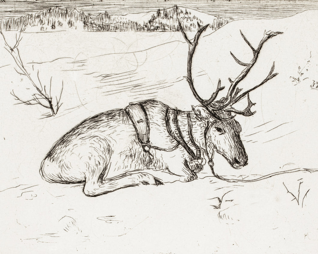 Reindeer Etching