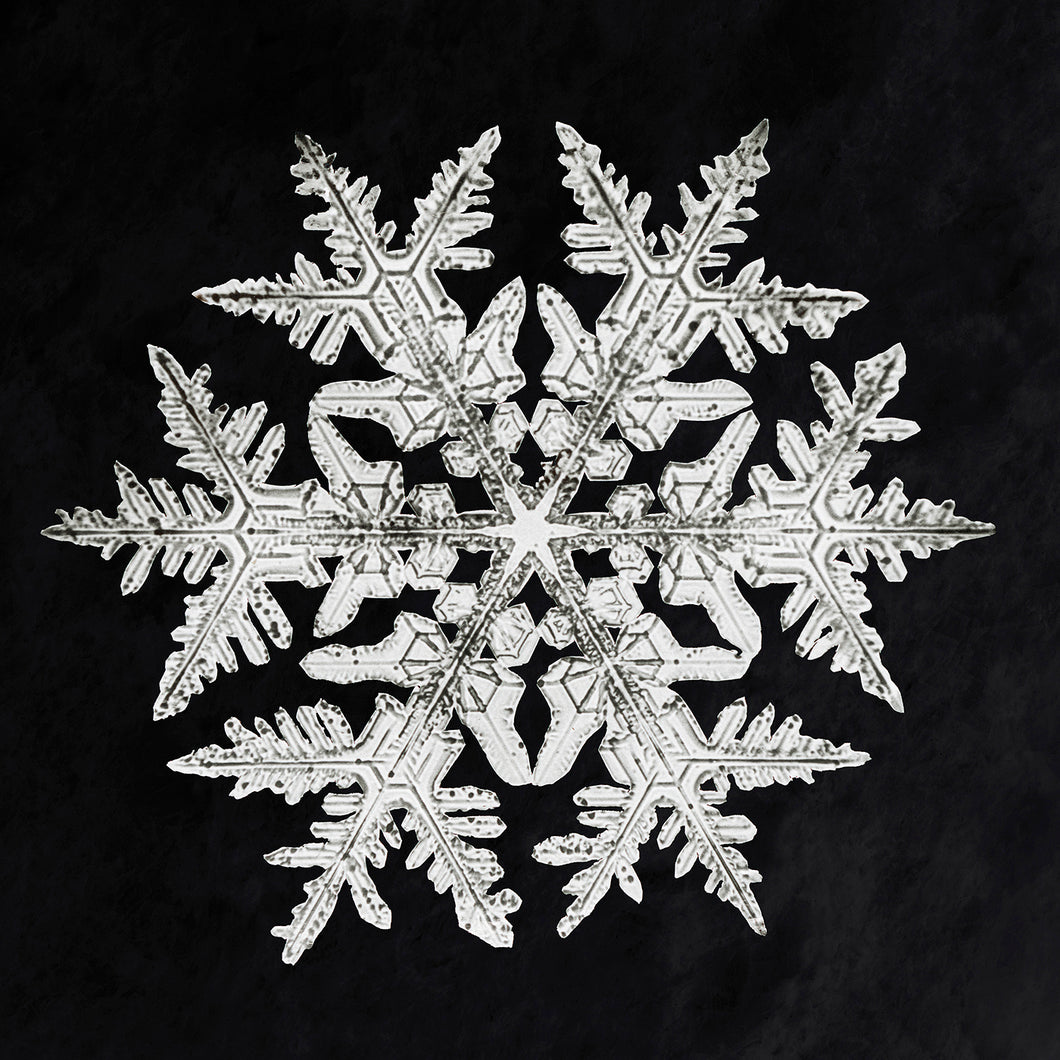 Snowflake Under Microscope