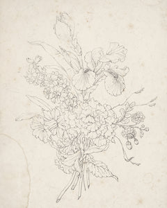 Vintage Floral Sketch