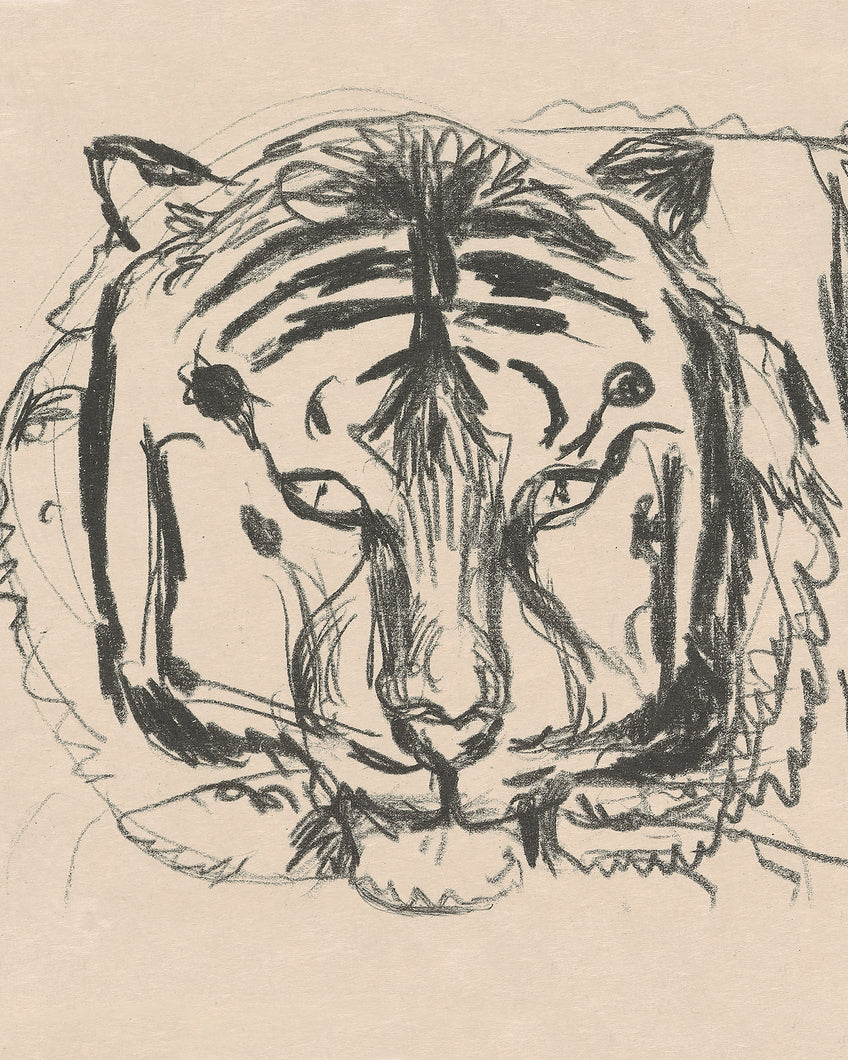 Vintage Tiger Sketch