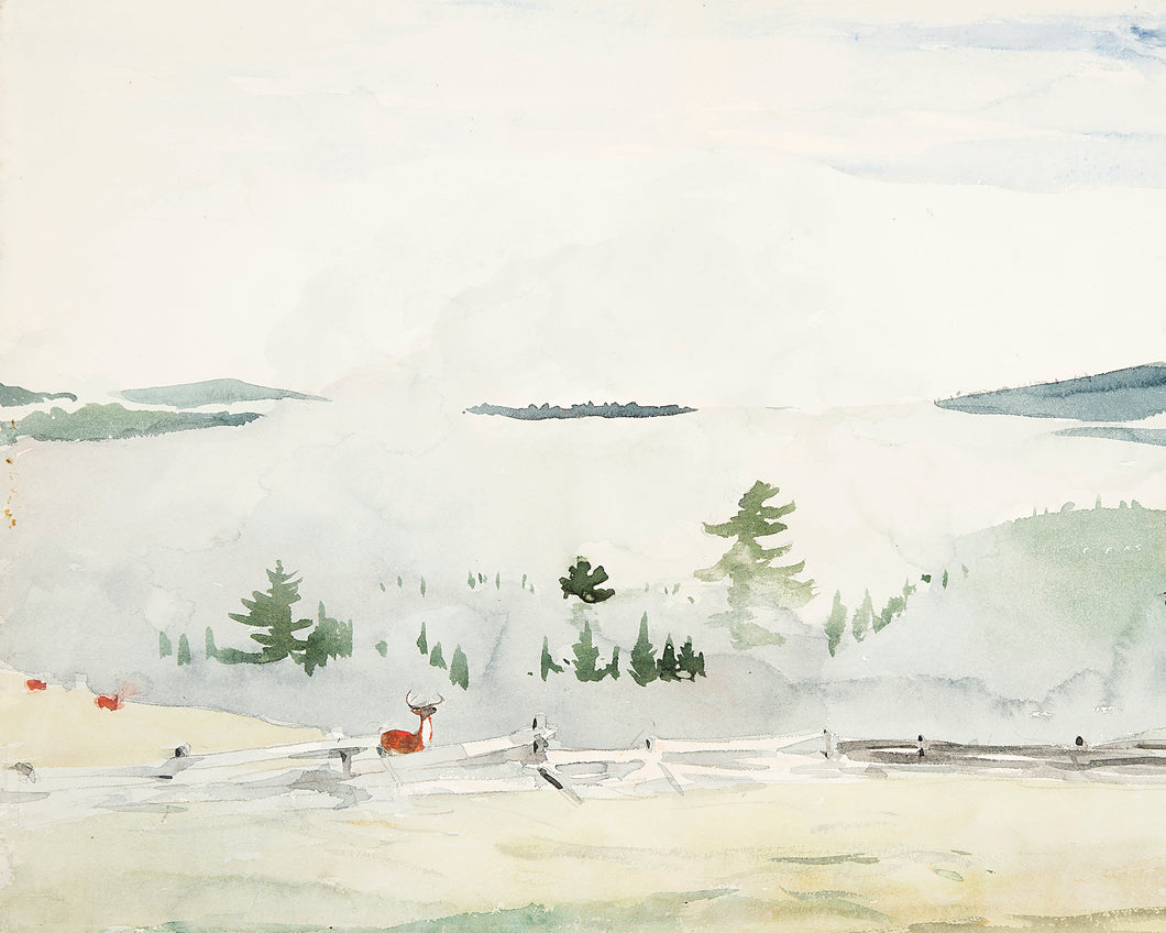 Watercolor Meadow