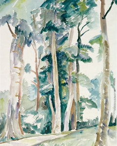 Watercolor Woodland