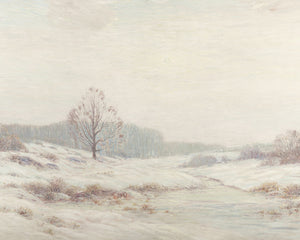 White Landscape