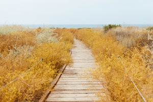 Yellow Path